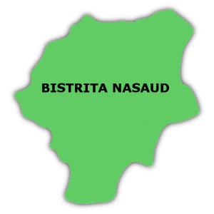 Coeficient criminalitate Bistrita Nasaud