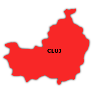 Coeficient criminalitate Cluj